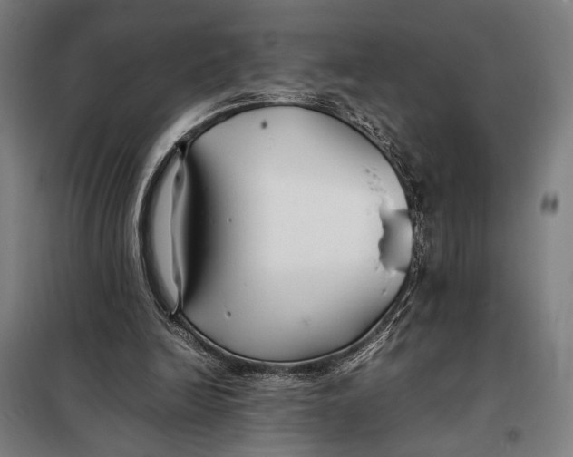 X0000097900246200804041444