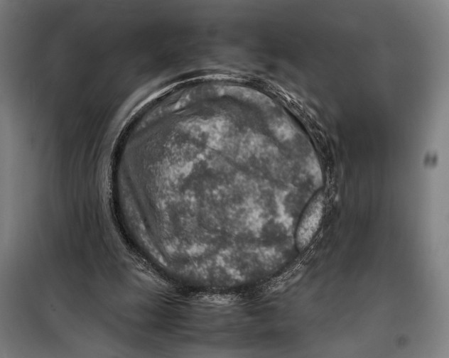 X0000097900247200804041444