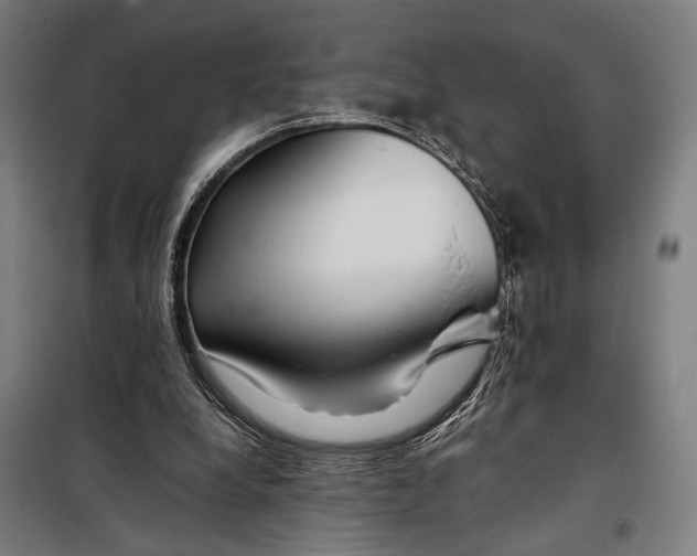 X0000097900248200804041444