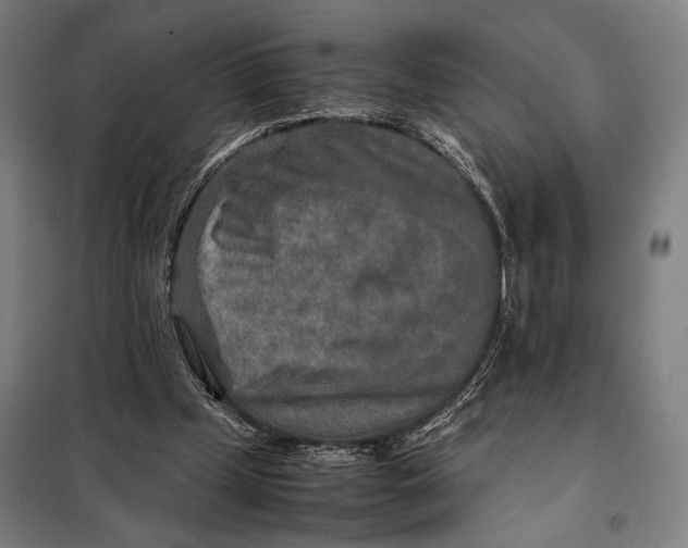 X0000097900249200804041444