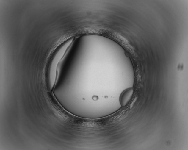 X0000097900250200804041444