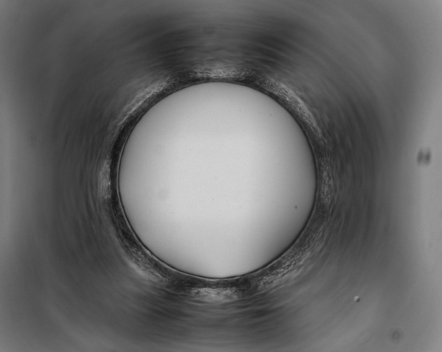 X0000097900251200804041444