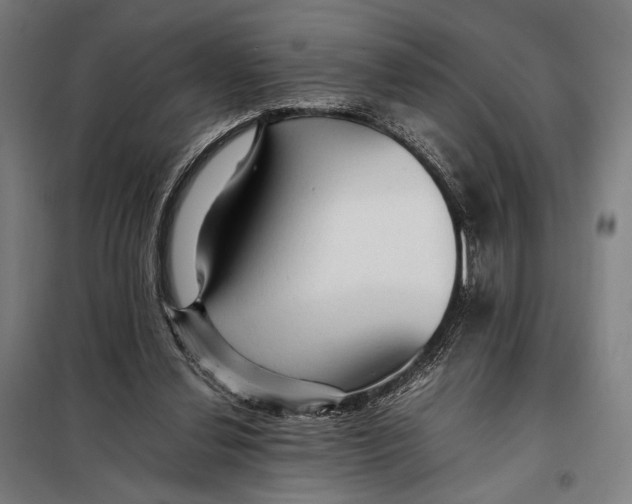 X0000097900252200804041444