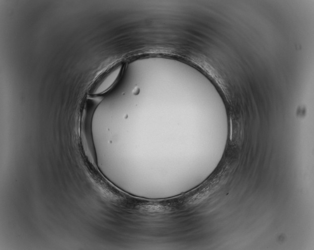 X0000097900253200804041444