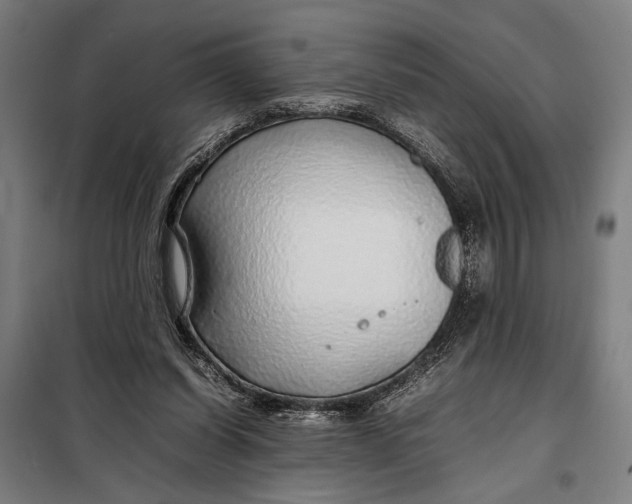 X0000097900254200804041444