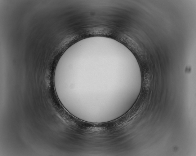 X0000097900255200804041444