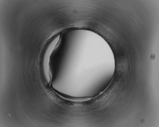 X0000097900256200804041444