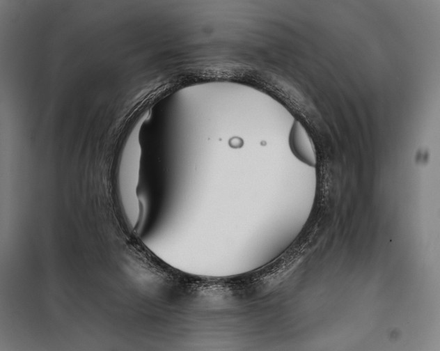 X0000097900258200804041444