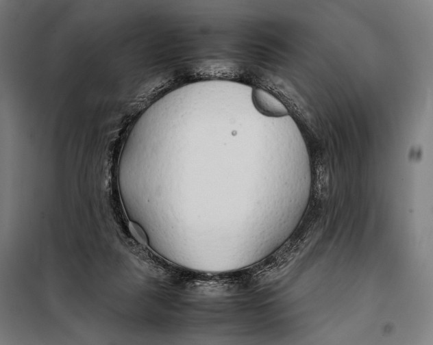 X0000097900259200804041444