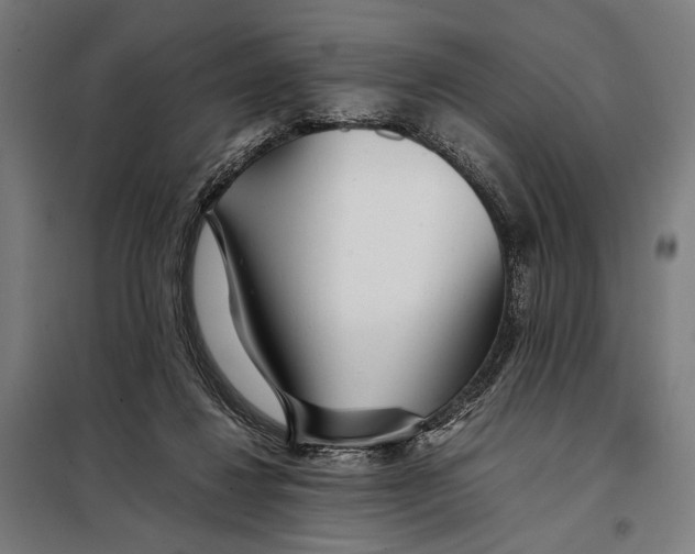 X0000097900260200804041444