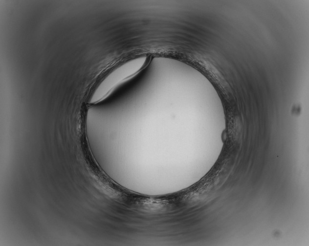 X0000097900261200804041444