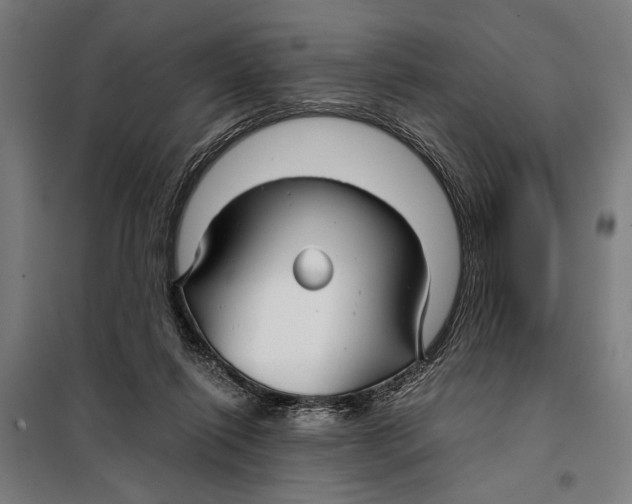 X0000097900262200804041444