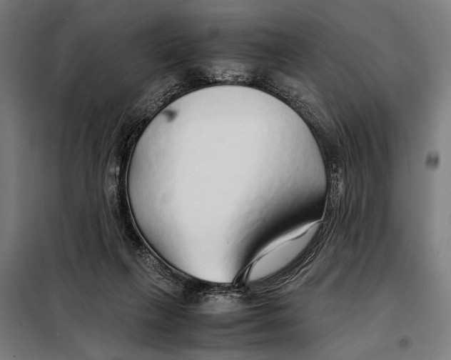 X0000097900263200804041444