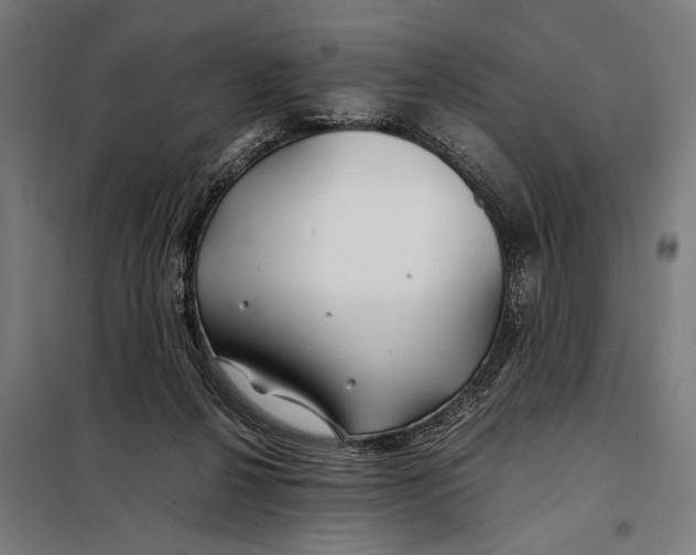 X0000097900264200804041444