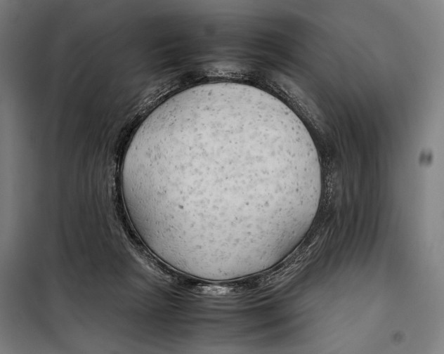 X0000097900265200804041444