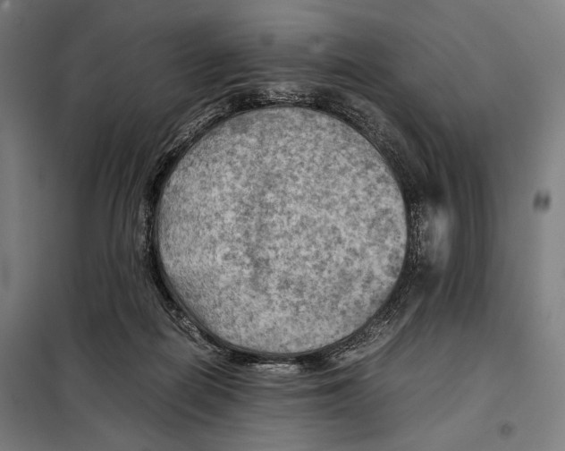 X0000097900266200804041444