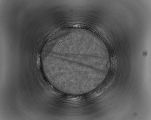 X0000097900267200804041444