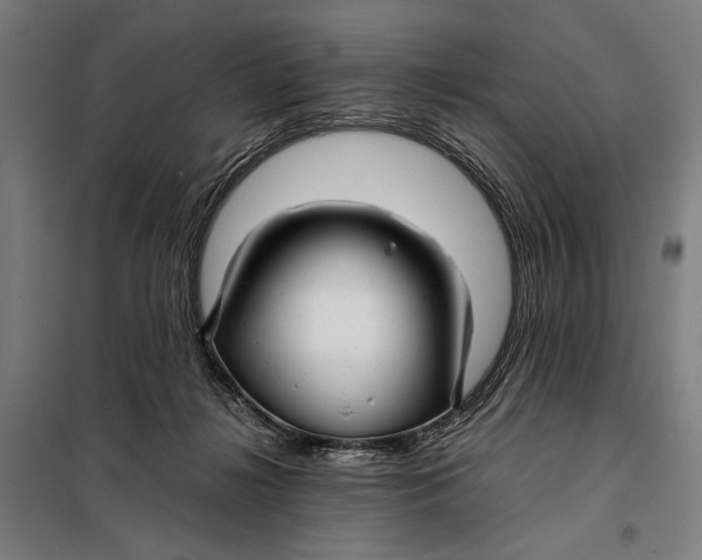 X0000097900268200804041444