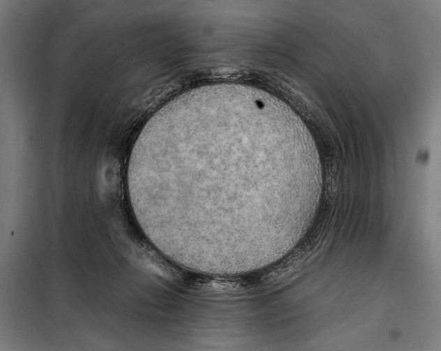 X0000097900270200804041444