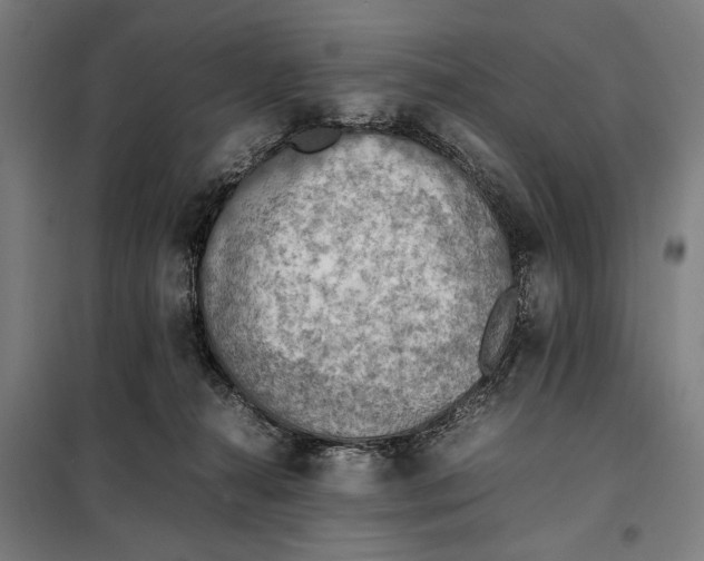 X0000097900272200804041444