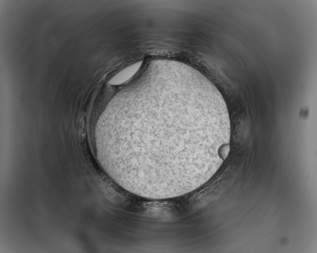 X0000097900273200804041444