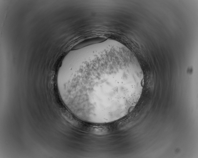 X0000097900275200804041444