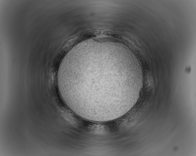 X0000097900276200804041444