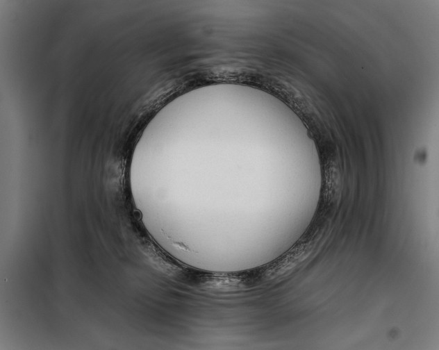 X0000097900278200804041444