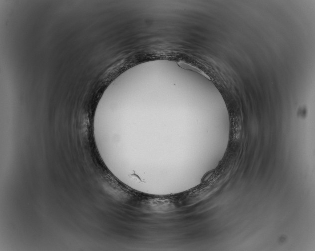 X0000097900279200804041444