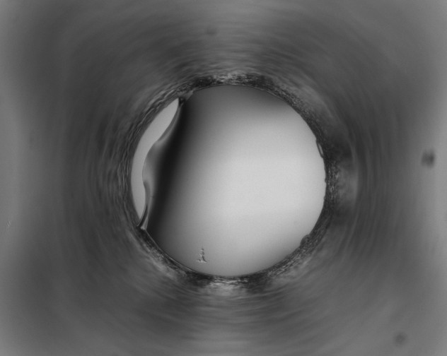 X0000097900280200804041444