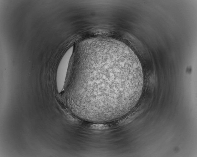 X0000097900281200804041444