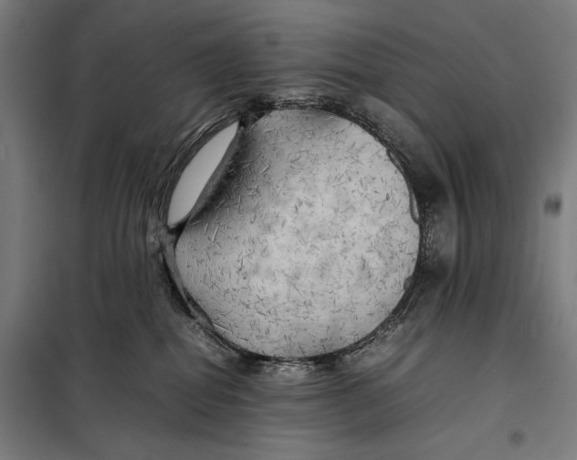 X0000097900282200804041444