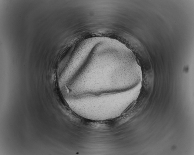 X0000097900284200804041444