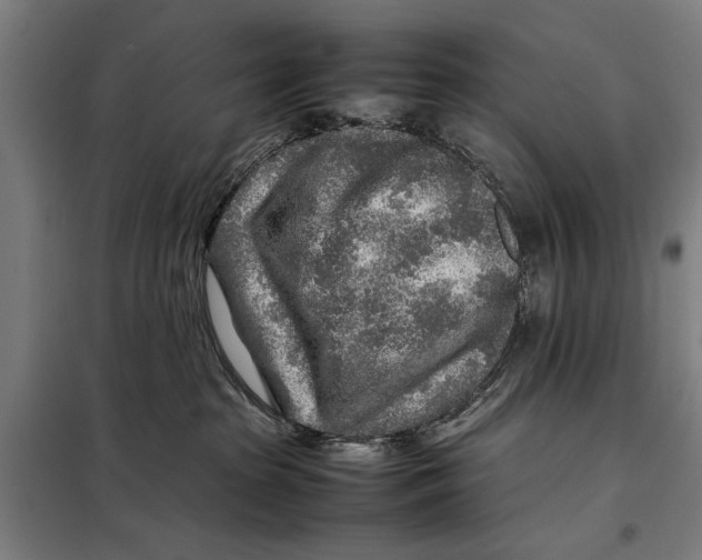 X0000097900285200804041444