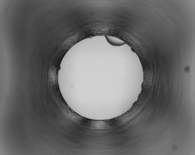 X0000097900287200804041444