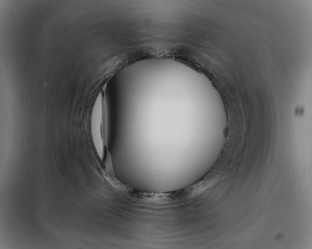 X0000097900288200804041444