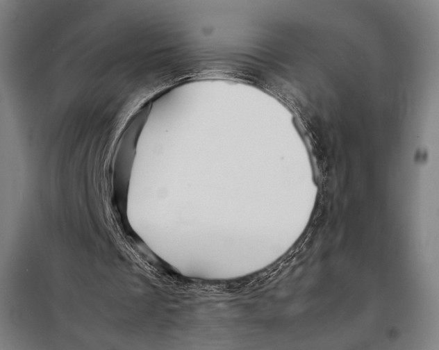 X0000097900289200804041443