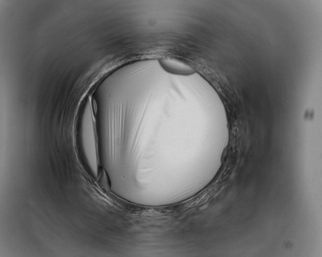 X0000097900290200804041443