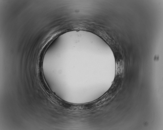 X0000097900291200804041443