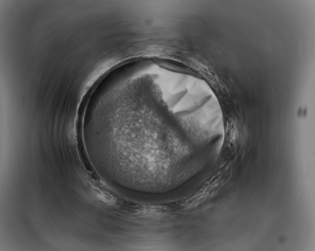 X0000097900292200804041443