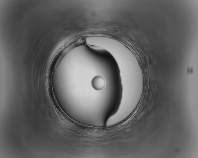 X0000097900293200804041443