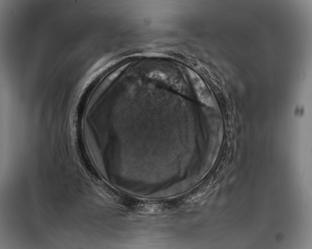 X0000097900295200804041443