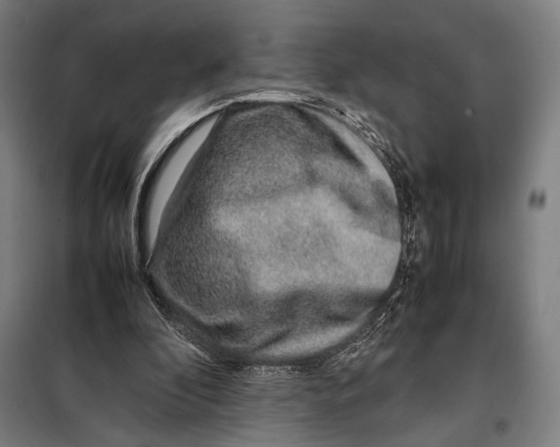 X0000097900296200804041443