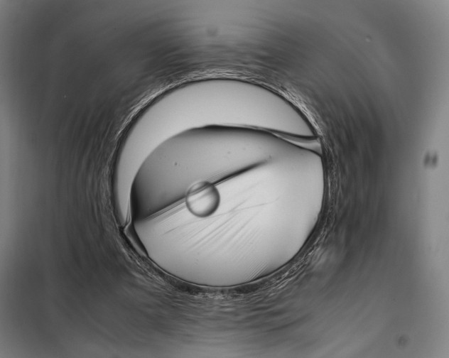 X0000097900297200804041443