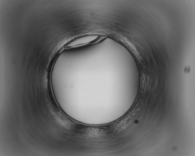 X0000097900298200804041443