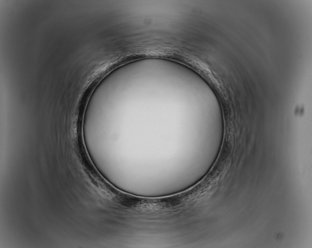 X0000097900299200804041443