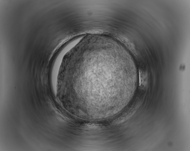 X0000097900300200804041443