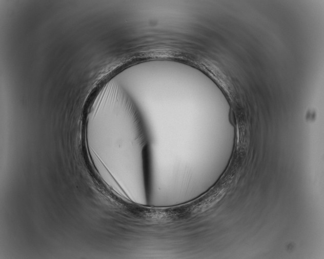 X0000097900301200804041443