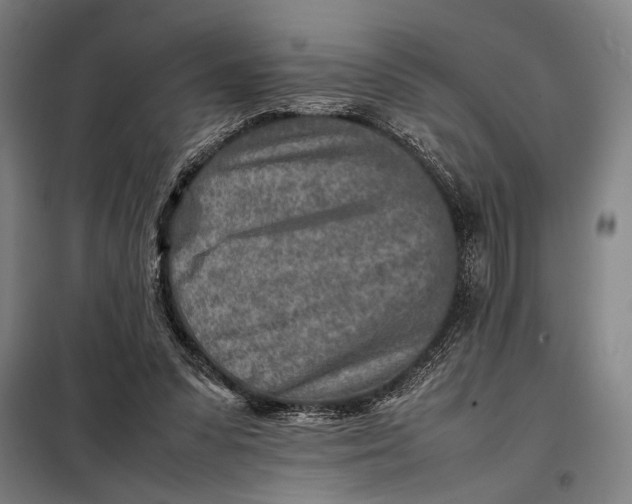 X0000097900303200804041443