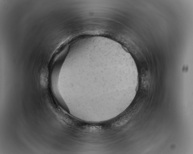 X0000097900304200804041443